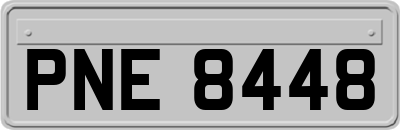 PNE8448