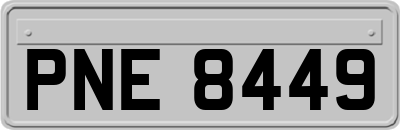 PNE8449