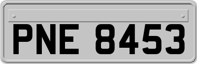 PNE8453