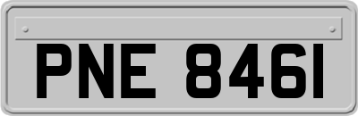 PNE8461