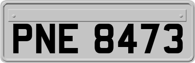 PNE8473