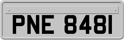 PNE8481