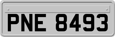 PNE8493