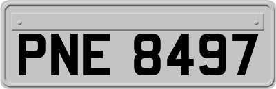 PNE8497