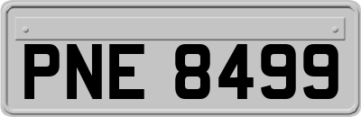 PNE8499