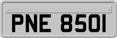 PNE8501