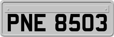 PNE8503