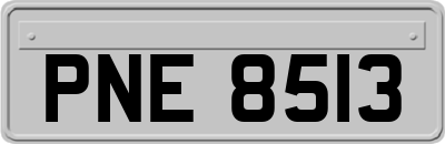 PNE8513