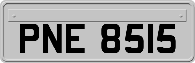 PNE8515