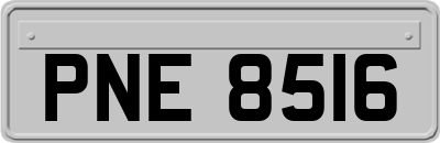 PNE8516