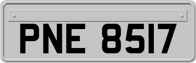 PNE8517
