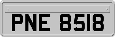 PNE8518