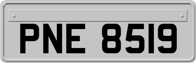 PNE8519