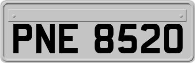 PNE8520