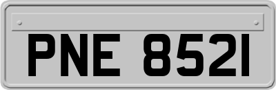PNE8521