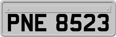 PNE8523