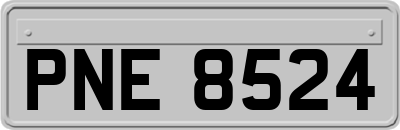 PNE8524