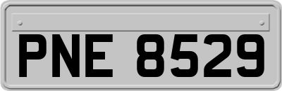 PNE8529