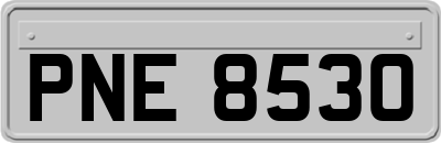 PNE8530