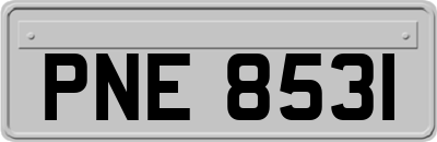 PNE8531