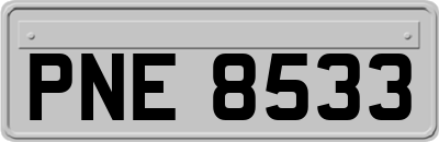 PNE8533
