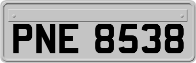 PNE8538