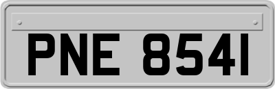 PNE8541