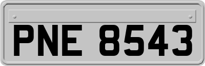 PNE8543
