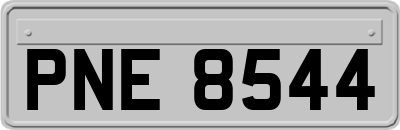 PNE8544