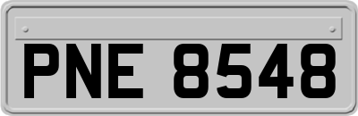 PNE8548