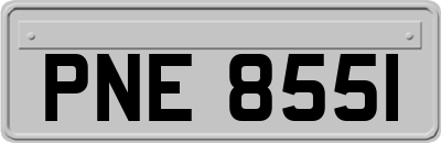 PNE8551