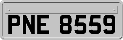 PNE8559