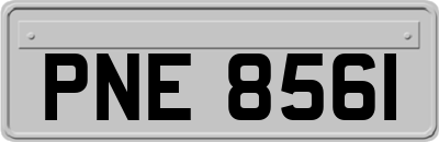 PNE8561