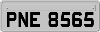 PNE8565