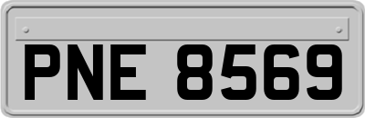 PNE8569