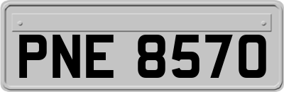 PNE8570
