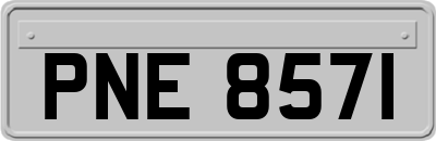 PNE8571