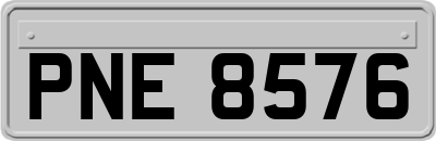 PNE8576