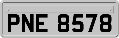 PNE8578