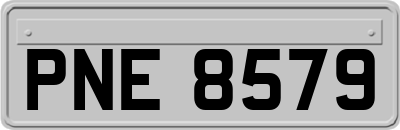PNE8579
