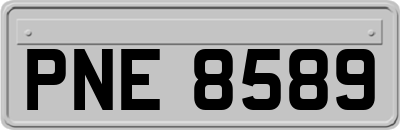 PNE8589