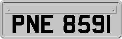 PNE8591