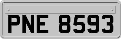 PNE8593