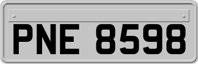 PNE8598