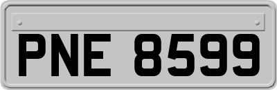 PNE8599