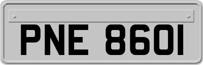 PNE8601