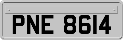PNE8614