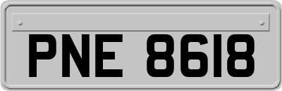 PNE8618