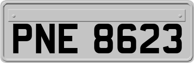 PNE8623