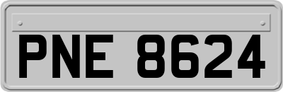 PNE8624